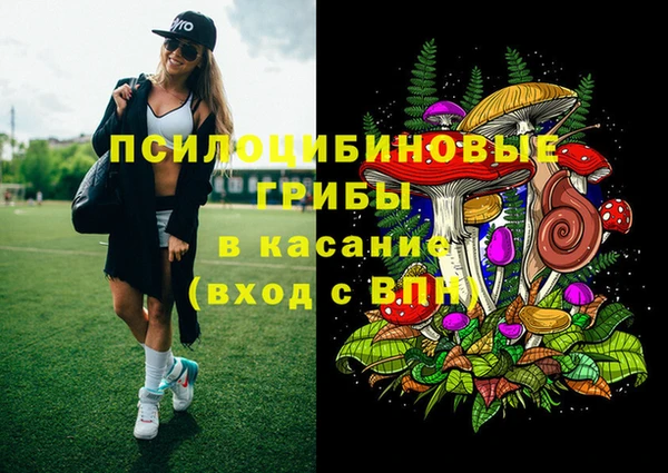 spice Аркадак