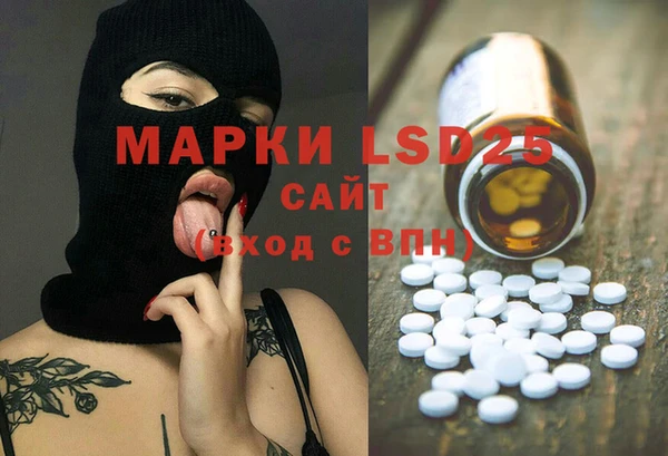 spice Аркадак