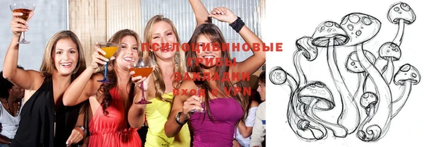 винт Армянск