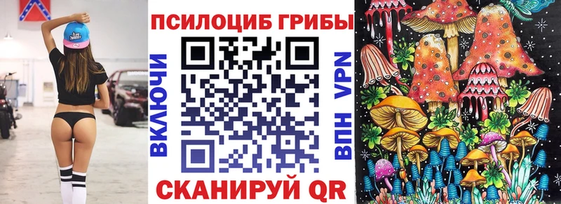 Галлюциногенные грибы Magic Shrooms  blacksprut онион  Светлогорск  купить закладку 